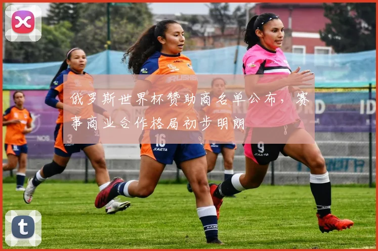 俄罗斯世界杯赞助商名单公布,赛事商业合作格局初步明朗